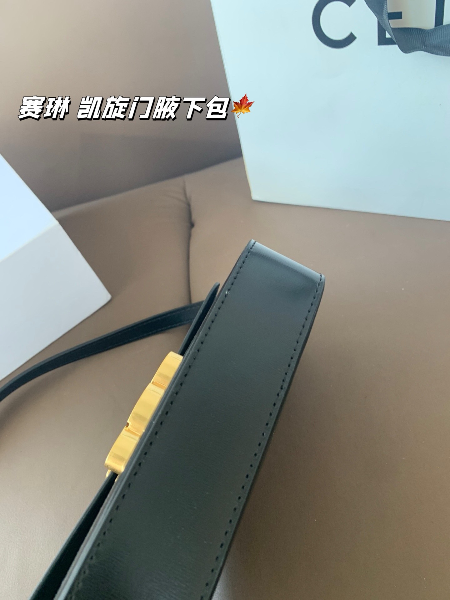 P140 赛琳 凯旋门腋下包 Celine满足日常所有需求 简直能装下整个世界 尺寸20*12折叠盒