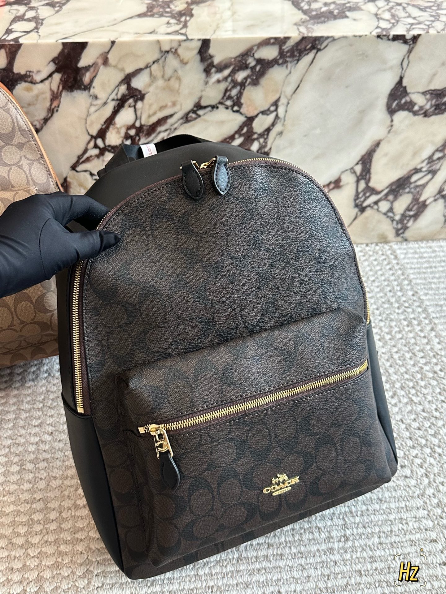 💰180 size：32*41cm C家 双肩包 双拉链/双隔层！ 最经典实用的一款男士双肩包 强烈推荐! ⚠️小长假需要一个它！ 搜索🔍coach 双肩包