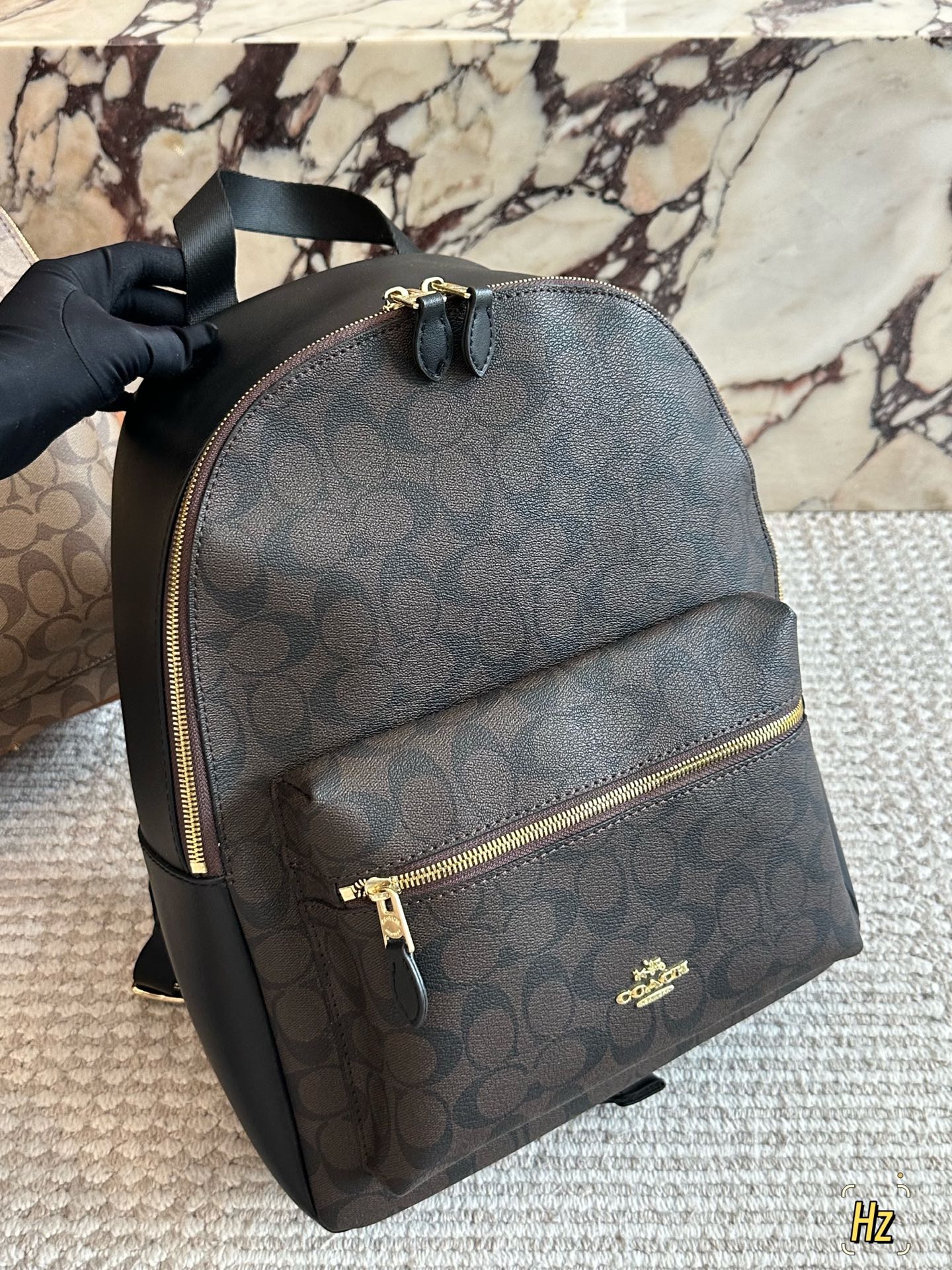 💰180 size：32*41cm C家 双肩包 双拉链/双隔层！ 最经典实用的一款男士双肩包 强烈推荐! ⚠️小长假需要一个它！ 搜索🔍coach 双肩包