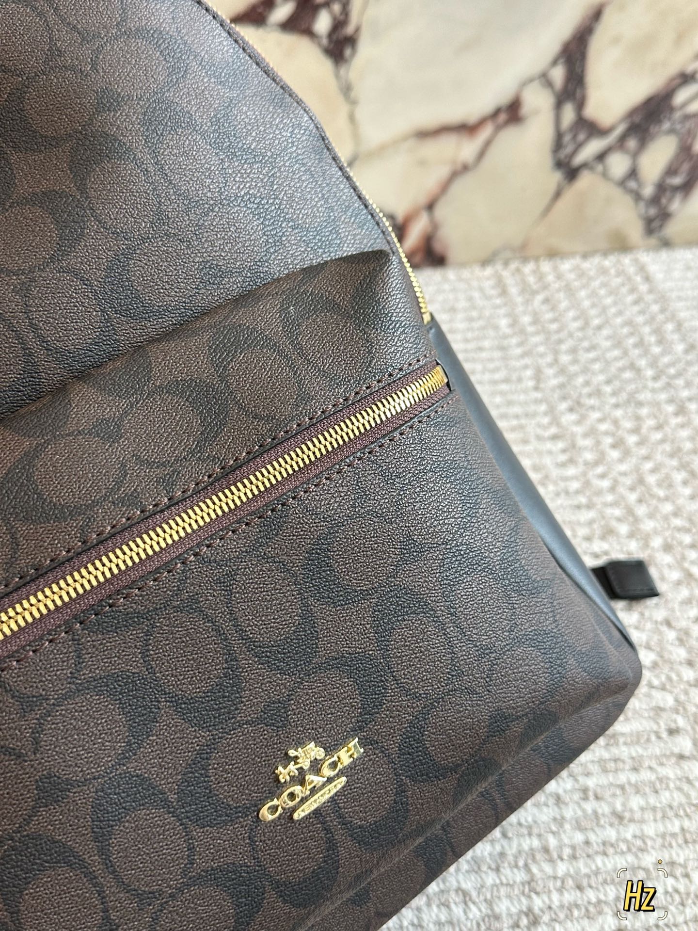 💰180 size：32*41cm C家 双肩包 双拉链/双隔层！ 最经典实用的一款男士双肩包 强烈推荐! ⚠️小长假需要一个它！ 搜索🔍coach 双肩包